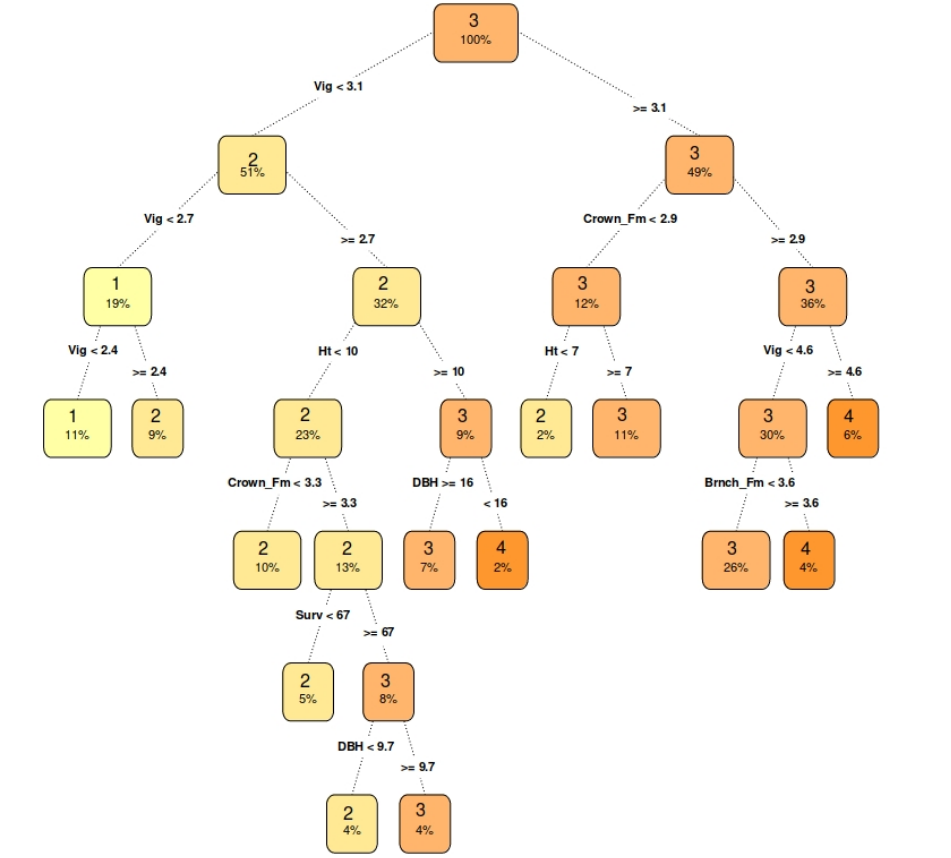 Tree plot