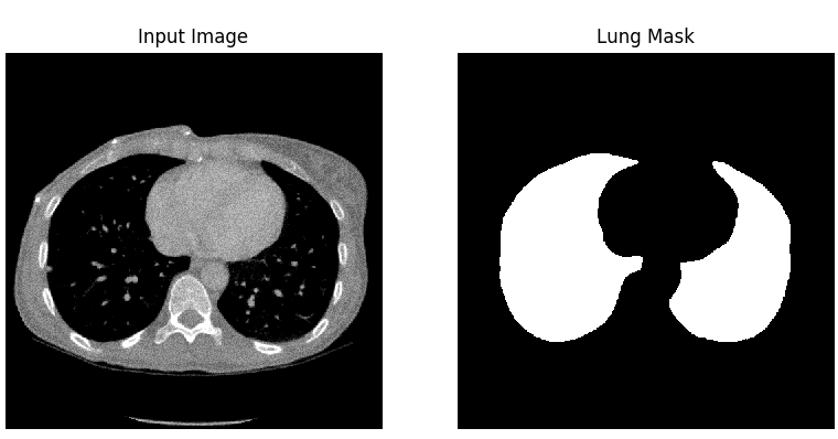 Lungs with masks