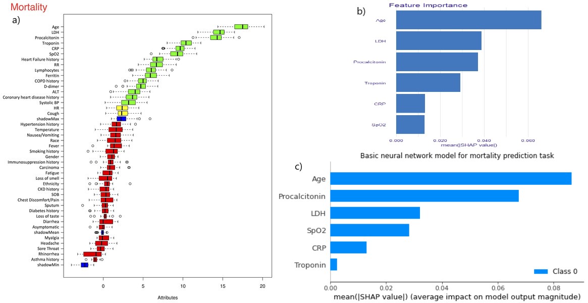 *a)* Boruta algorithm results from the article. Only the top 6 features are taken into consideration. *b)* feature importance barplot for xgboost model *c)* feature importance barplot for *Basic* neural network (model using two hidden layers of 32 neurons each with binary cross entropy as the loss function). The bars in *b)* and *c)* represent the mean SHAP values for each feature.